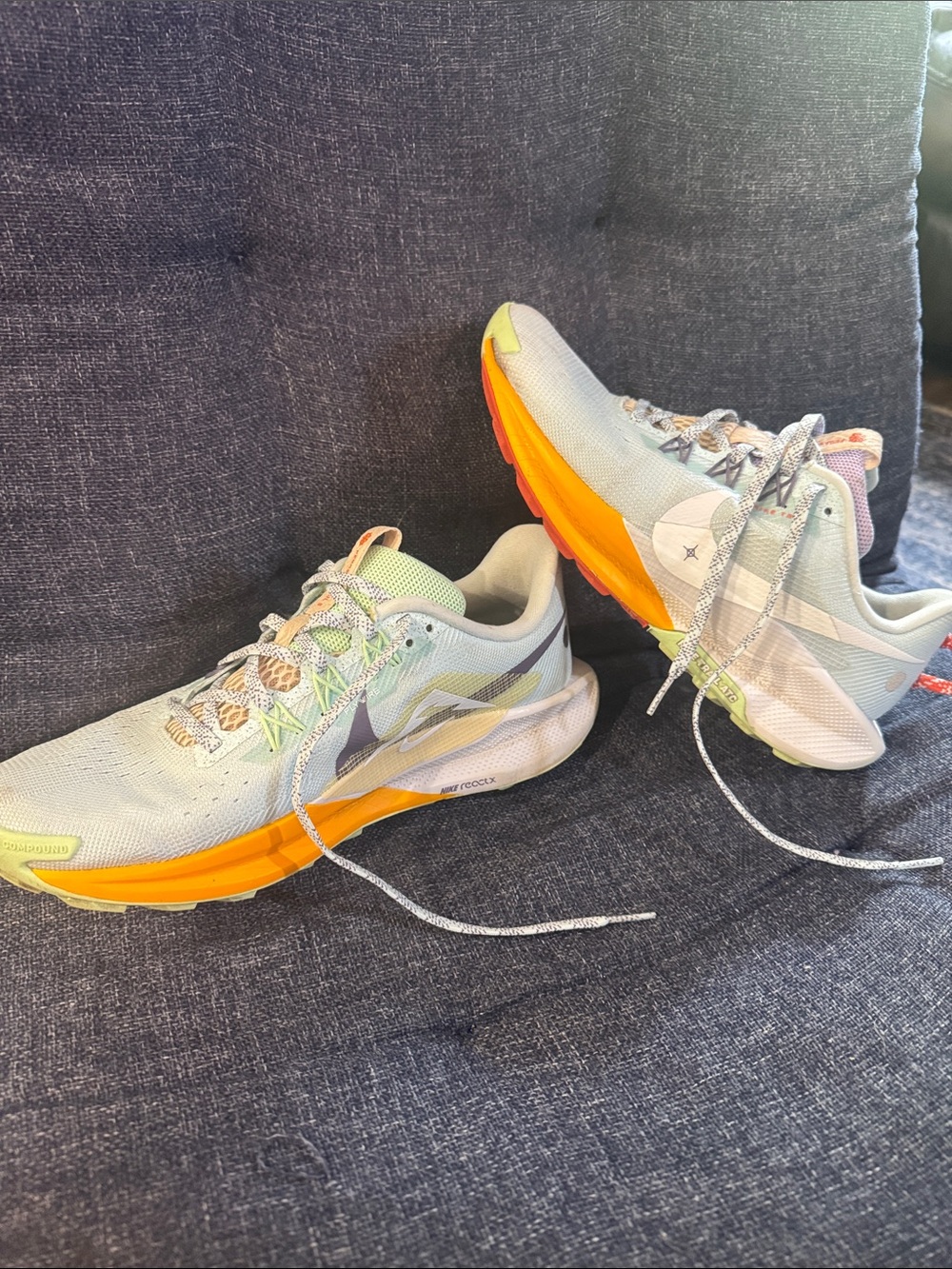 Nike Pegasus Trail 5